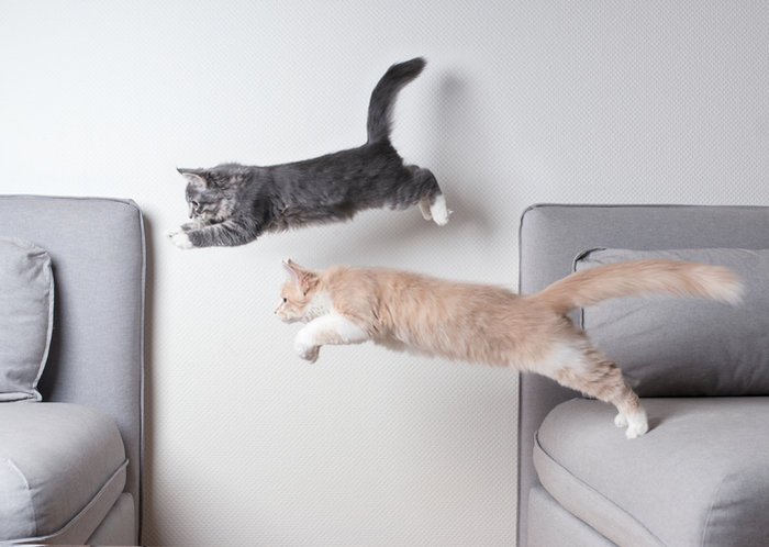 illustration Couchsurfing