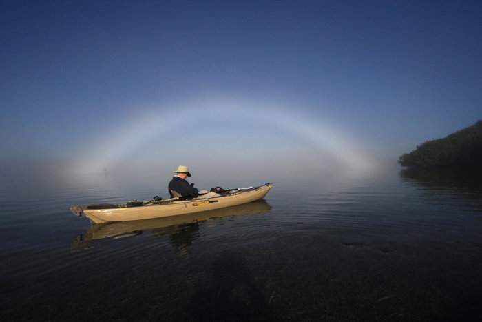 Fogbow