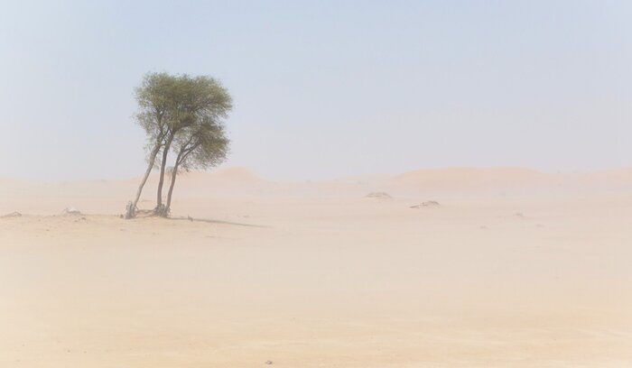 illustration Haboob