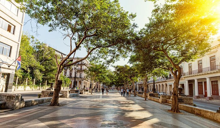 illustration Paseo