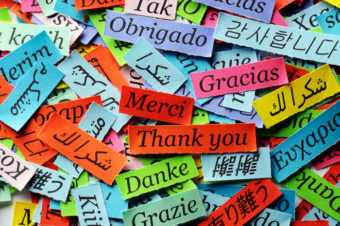 illustration Polyglot