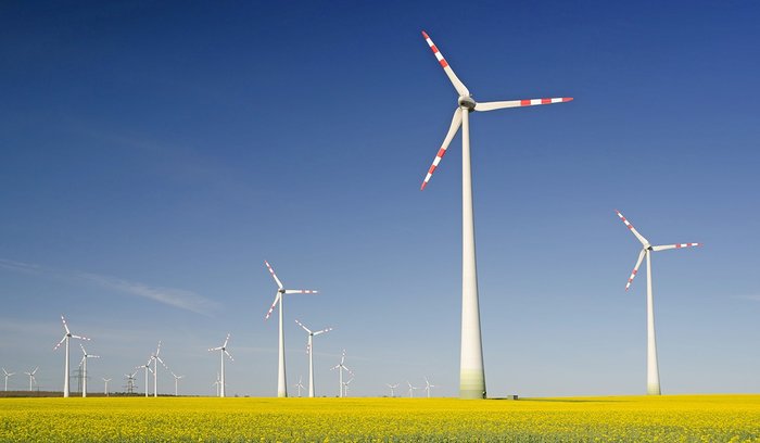 illustration Sustainability