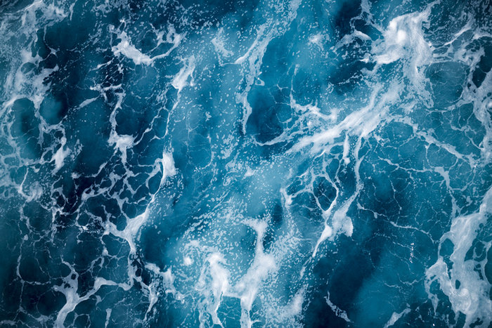 illustration Thalassophile