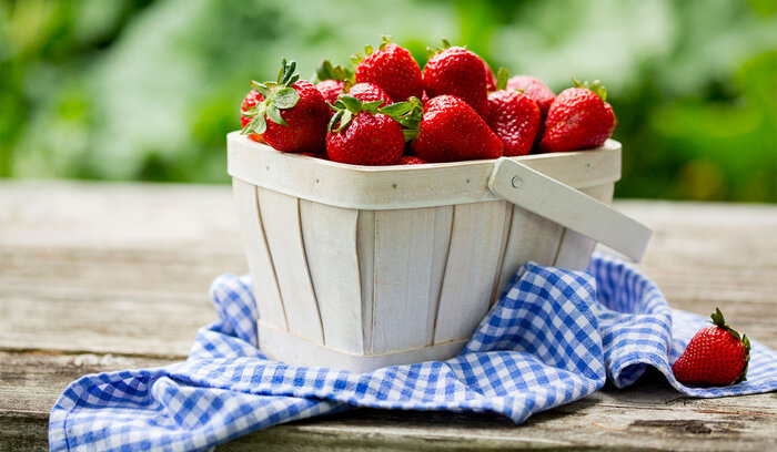 illustration Punnet