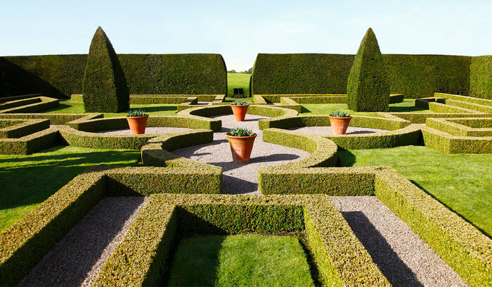 illustration Topiary